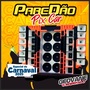 PAREDAO PIX CAR ESP-CARNAVAL 2025