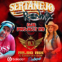 Sertanejo Remix 2025 DJs Project Rs