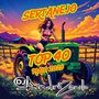 TOP 40 SERTANEJO  2025