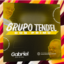 TENDEL DOS PRIMOS - DJ GABRIEL OFICIAL