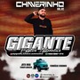 CD Gigante Estetica Automotiva Vol.2