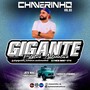 CD Gigante Estetica Automotiva Vol.3