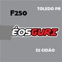 CD F250 E OS GURI VOL 2