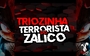 TRIOZINHA TERRORISTA DO ZALICO 2025 - DJ