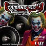 CD EQUIPE TAMANDASOM-DJ WESLEY SANTOS