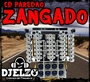 CD PAREDAO ZANGADO 2026 BY DJ ELZO