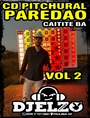 CD PICHURAL PAREDAO VOL 02 BY DJ ELZO
