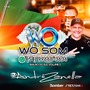 W.O SOM VOLUME 3 ESPECIAL BAILAO DO SUL