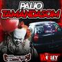 CD PALIO TAMANDASOM-DJ WESLEY SANTOS