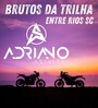 CD BRUTOS DA TRILHA