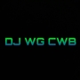 MEGA FUNK MISTURA DE LOKOS Dj wg cwb