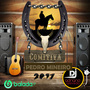 CD Comitiva Pedro Mineiro 2017 - 50 Faixas